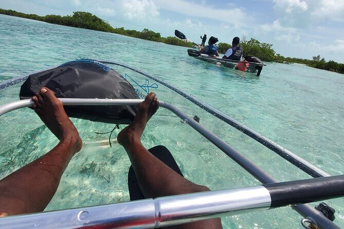 Clear Kayak Mangrove Eco Tour - Weather Matters: How Conditions Affect Your Chance to Go