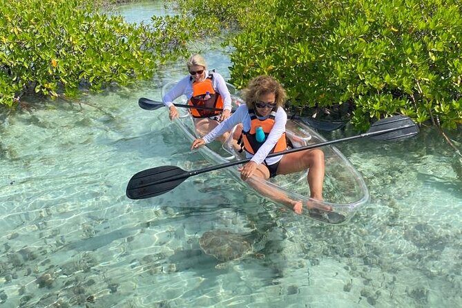 Clear Kayak Tour in Turks & Caicos Islands - Clear Kayaks in Turks and Caicos: What You’re Really Paying For