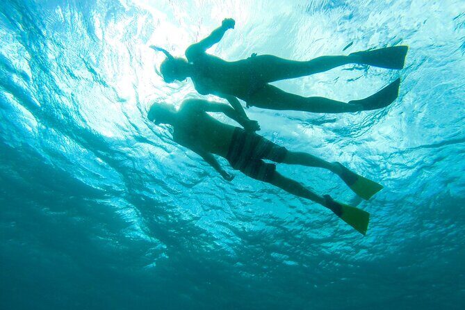 Deluxe Half-Day Snorkel Sail on Lady Grace Luxury Catamaran - Reef snorkeling on the Turks and Caicos Barrier Reef: what you’re actually paying for