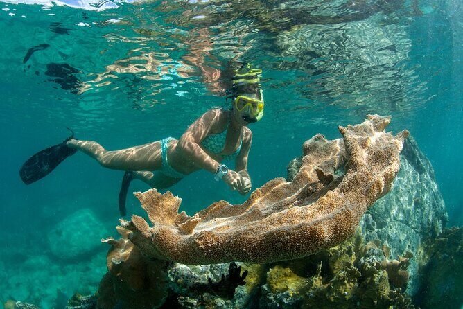 Deluxe Half-Day Snorkel Sail on Lady Grace Luxury Catamaran - Weather, waves, and the captain’s decision-making