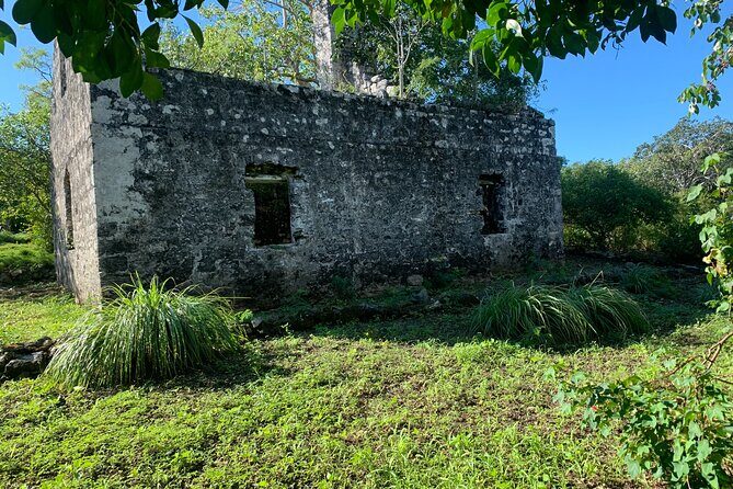 Discovery Tour and Treasure Hunt ( North and Middle Caicos) - Cottage Pond and the Blue Hole: A Fast Karst Feature Stop