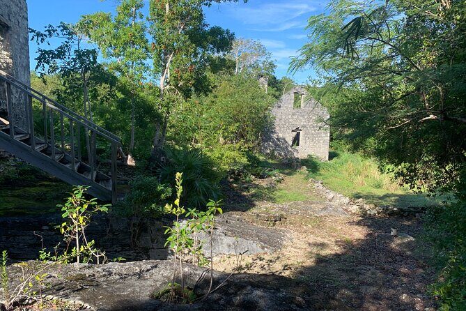 Discovery Tour and Treasure Hunt ( North and Middle Caicos) - Flamingo Pond Overlook: Quick Stop on North Caicos Without an Admission Fee