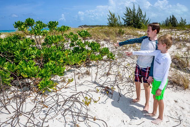 Family Catamaran & Snorkeling Cruise Turks & Caicos - Should you book this cruise?