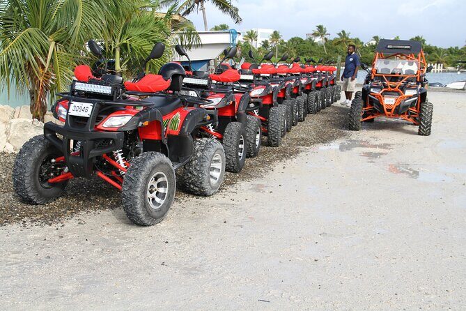 Famous East Island ATV Tour - Flamingo Lake to Turtle Tail: Lake Views, Turtle Tail Turquoise, and Fast Photo Wins