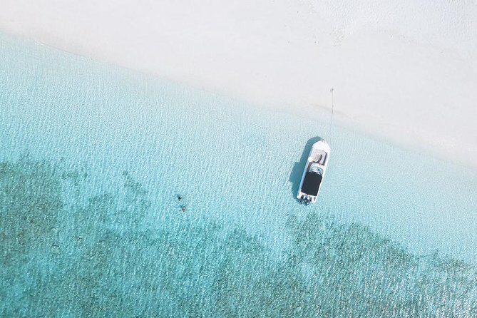 Full day 7hours- beach bbq, snorkel, Iguana island, half moon bay pine cay, Fun! - The beach BBQ lunch: why the food matters on a boat day