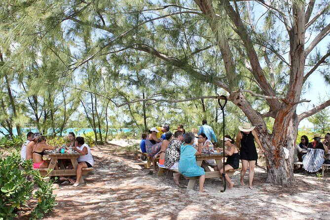 Full Day Beach BBQ Lunch & Snorkeling Excursion in Grace Bay - Key tour takeaways
