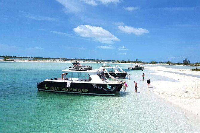 Full Day Beach BBQ Lunch & Snorkeling Excursion in Grace Bay - Little Water Cay and the rock iguana moment