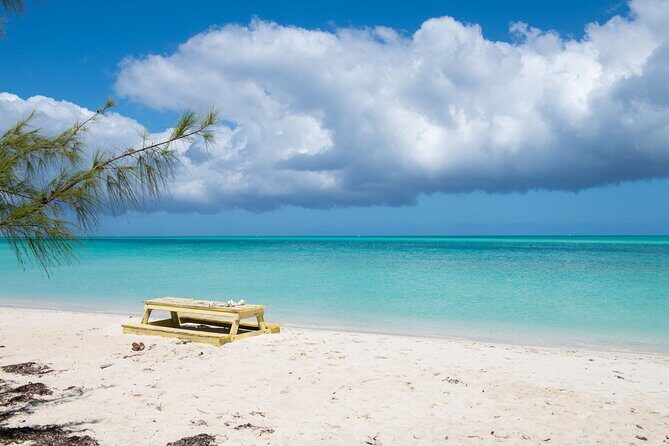 Full Day Cruise from Providenciales with Snorkeling and BBQ Lunch - Leeward Reef Snorkeling: Your First Look at Coral and Fish