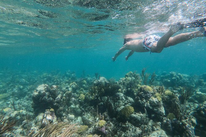 Full Day Cruise from Providenciales with Snorkeling and BBQ Lunch - Shell Island and Sandbar Time: Sand Dollars and Beach Combing