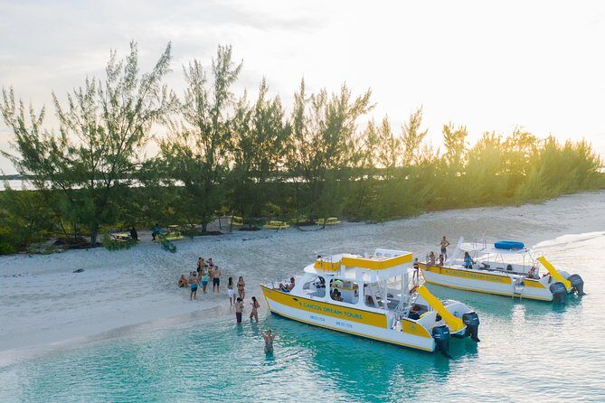 Full Day Cruise from Providenciales with Snorkeling and BBQ Lunch - Pine Cay Reef: Ending With Turtles and Big Coral Shapes