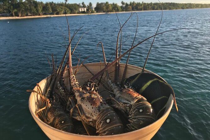 Full-Day Private Catamaran, Turks and Caicos Cruise - Your day on the water: six stops that mix postcard beaches and quiet cays
