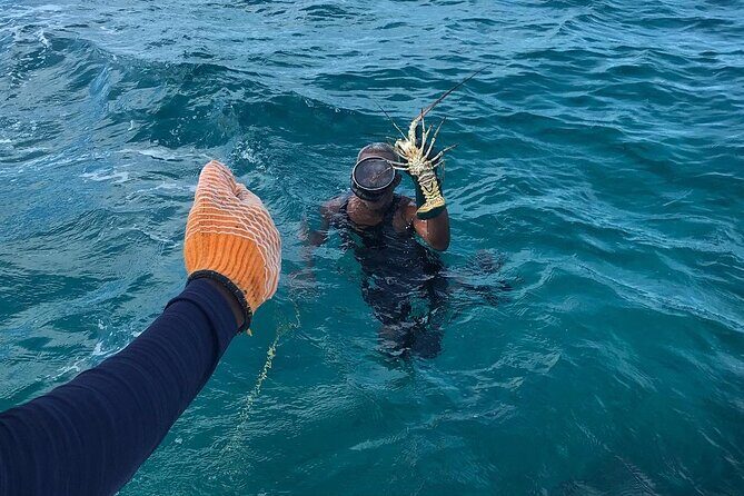 Full-Day Private Cruise in Turks and Caicos with Lunch - Stop 2: Dellis Cay and the snorkeling-and-swimming window