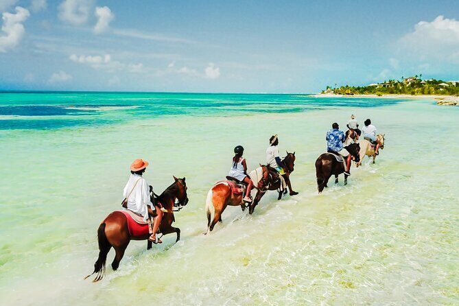 Group Beach and Ocean Horseback Adventure in Providenciales - A Beach-to-Ocean Ride That Feels Like the Real Turks and Caicos