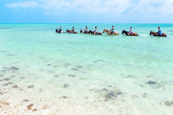 Group Beach and Ocean Horseback Adventure in Providenciales - Your Horse Ride: Gentle Geldings and a Calm Pace