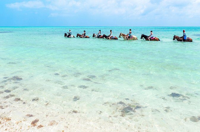 Group Beach and Ocean Horseback Adventure in Providenciales - Photos, Conch Shells, and the Little Souvenirs That Make It Stick