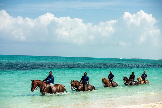 Group Beach and Ocean Horseback Adventure in Providenciales - Included vs. Not Included: What You’ll Want to Plan for
