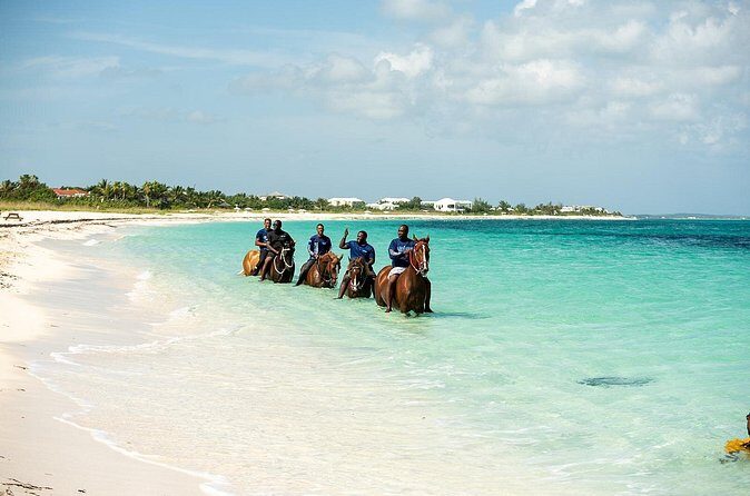 Group Beach and Ocean Horseback Adventure in Providenciales - Who This Tour Fits Best (and Who Might Want a Different Option)