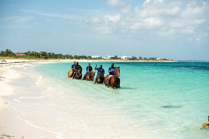 Group Beach and Ocean Horseback Adventure in Providenciales - Price and Value: Is $254 a Good Deal for an Ocean Ride?