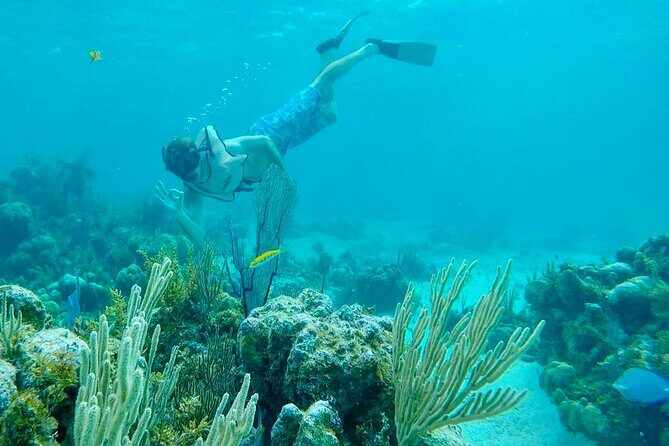 Group Reef, Beach and Sandbar Tour from Providenciales - Pine Cay and the Sand Dollar Cove Sandbar: Best Part for Shallow Relaxing