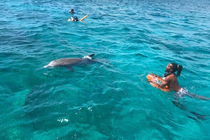 Group Reef, Beach and Sandbar Tour from Providenciales - Guides, Crew, and the Vibe: Names You’ll Hear On the Boat