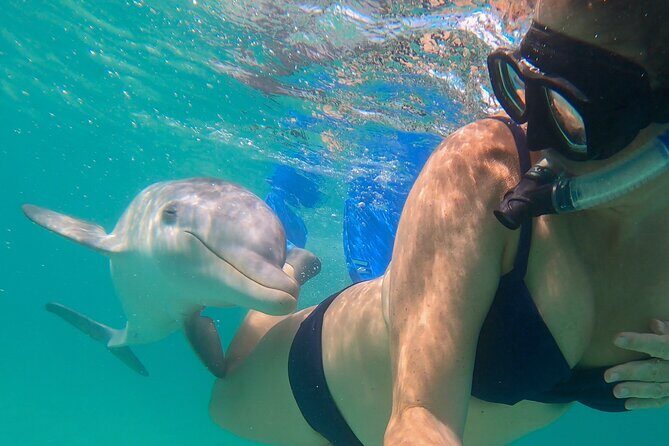 Group Reef, Beach and Sandbar Tour from Providenciales - Weather and Snorkeling Reality: What Can Change Your Experience