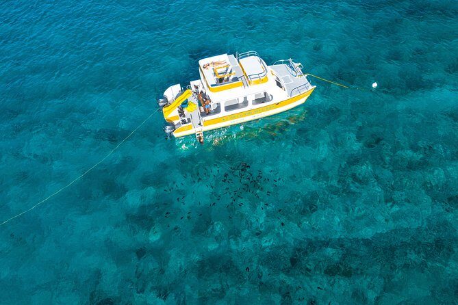 Half Day Private Boat Charter at Grace Bay, Providenciales - Price and value for up to 8 people: what you’re really paying for