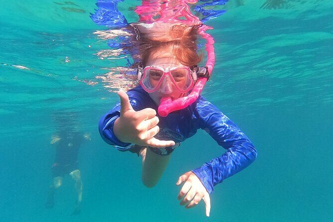 Half Day Private Charter Tour Turks and Caicos - Pickup, mobile tickets, and the small logistics that matter
