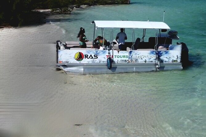 Half Day Private Charters in Iguana Island for 8pax - Barrier reef snorkeling for about an hour: how to make the most of it