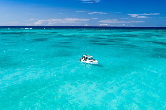 Half Day Private Luxury Axopar Charter in Turks & Caicos - Little Water Cay (Iguana Island): Big Lizard Energy, Free Admission Included