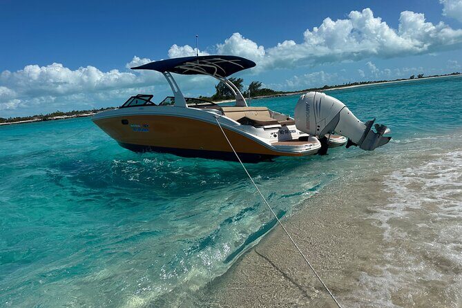 Half Day Private Sun and Snorkel exploring the Turks and Caicos - Snorkeling for Sand Dollars and Reef Life: What to Expect in the Water