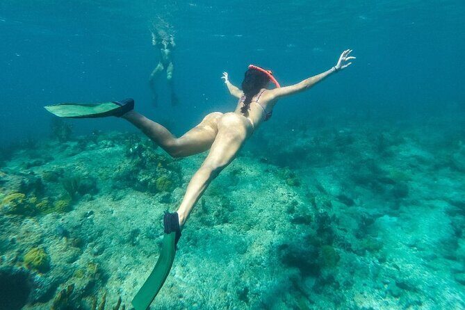 Half Day Snorkel from Providenciales with Visit to Half Moon Bay - Snorkeling at Leeward Reef: what you’ll see and what to expect