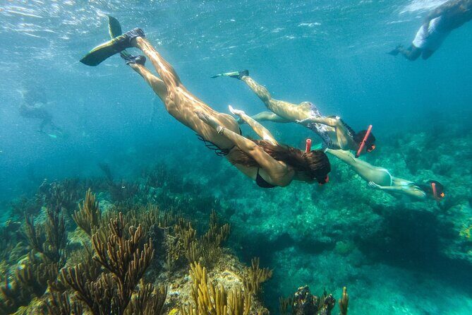 Half Day Snorkel from Providenciales with Visit to Half Moon Bay - The on-board extras: slide time, trade winds, and the group mood