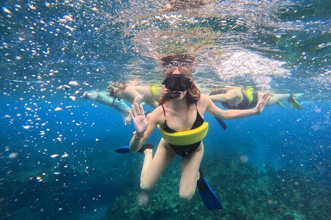 Half Day Snorkel from Providenciales with Visit to Half Moon Bay - Price and what you actually get for $140