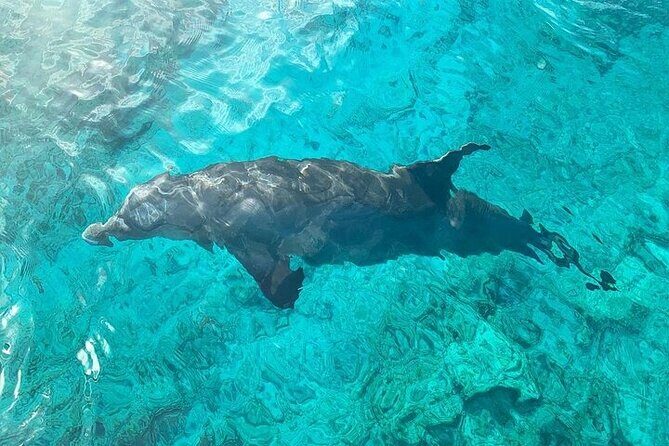 Half Day Snorkeling, Sightseeing & Island Hopping Private Charter - Stop 3: Cruising Grace Bay Beach for that classic postcard coast