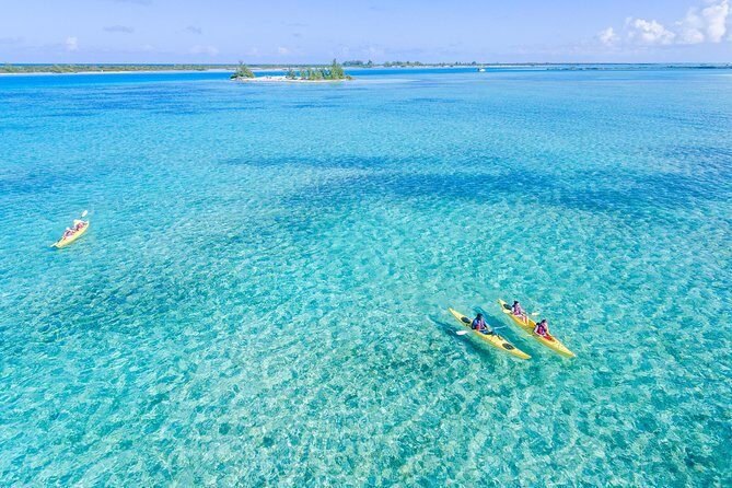 Kayak Eco Tour - Key things to know before you go