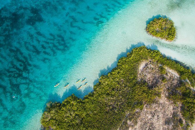 Kayak Eco Tour - Getting to Big Blue Collective and why your start time may shift