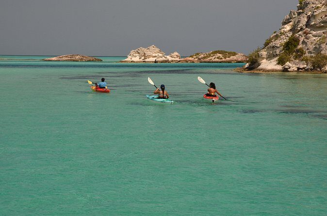 Kayak Eco Tour - What to bring and how to prepare for mangrove kayaking