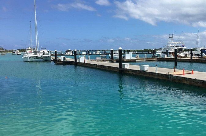 Land & Beach Adventures - Price at $295.95: Does It Make Sense for Your Trip?