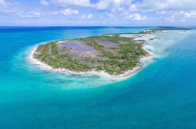 Mangrove Cay and Iguana Island Tours - Pickup, Guides, and Small-Group Energy