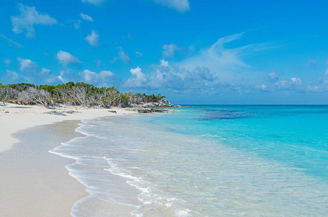 Mangrove Cay and Iguana Island Tours - What You’ll See: A Wildlife Checklist That Actually Helps