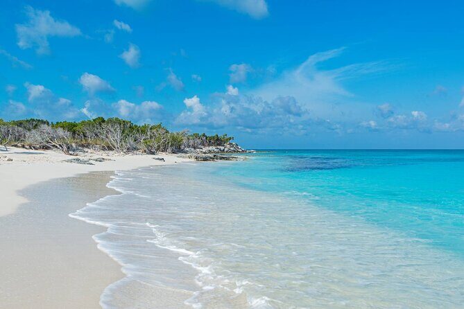 Mangrove Cay and Iguana Island Tours - Price and Value: Is $150 Worth It?