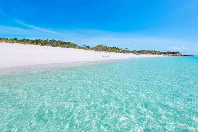 Mangrove Cay and Iguana Island Tours - Who This Tour Fits Best (and Who Might Want a Different Plan)