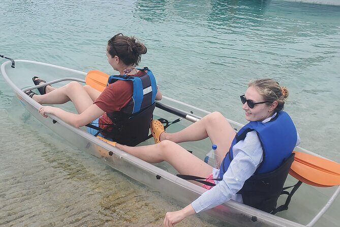 Mangrove Cay And Iguana Island Venture In Turks And Caicos Island - The Providenciales Water Time: Sea Life You Might See
