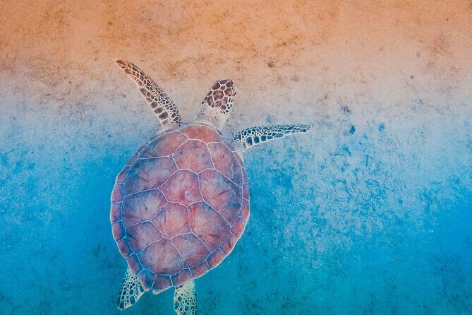 Mangrove Cay And Iguana Island Venture In Turks And Caicos Island - Paddling Reality: Heat, Wet Gear, and How to Prepare