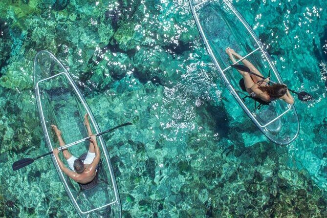 Mangrove Cay Tour - Quick hits to know before you go