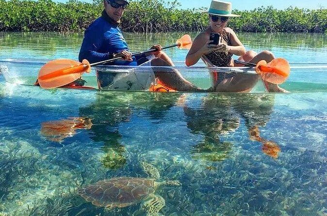 Mangrove Cay Tour - Weather and tide: how to manage your sighting expectations