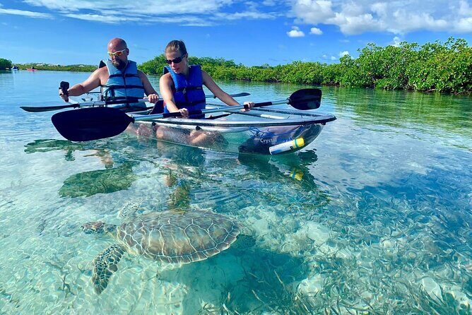 Mangrove Clear Kayak Tour - Key things I’d plan around