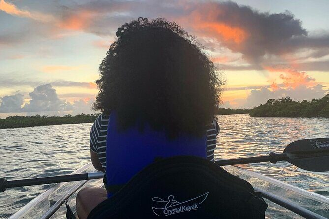 Mangrove Clear Kayak Tour - Clear Kayak Through Mangrove Cay: Why This Tour Feels Special