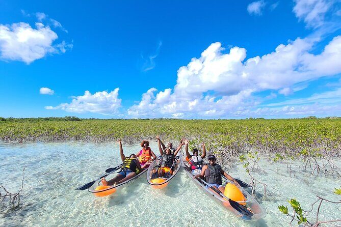 Mangrove Clear Kayak Tour - Paddling Comfort, Safety, and Physical Effort