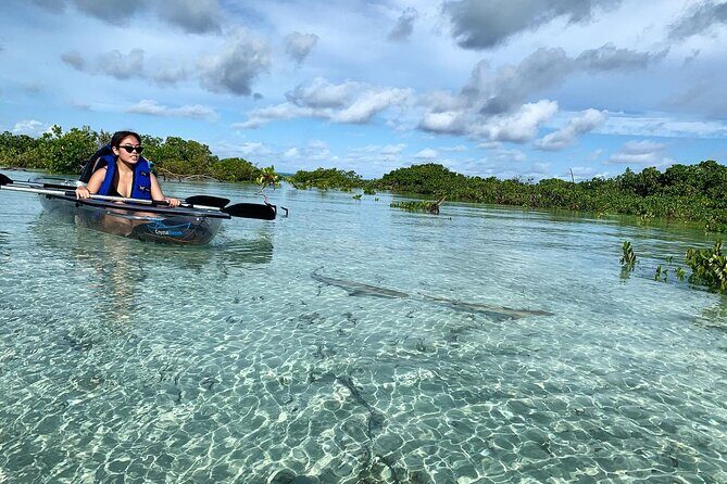 Mangrove Clear Kayak Tour - Getting There From Providenciales: Pickup and the Leeward Meeting Point